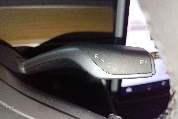 Tesla Model 3 2020 imagem de carro #16