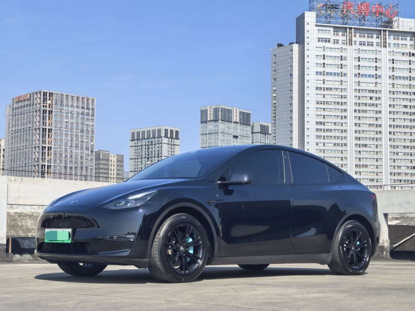 Tesla Model Y 2021 car image 