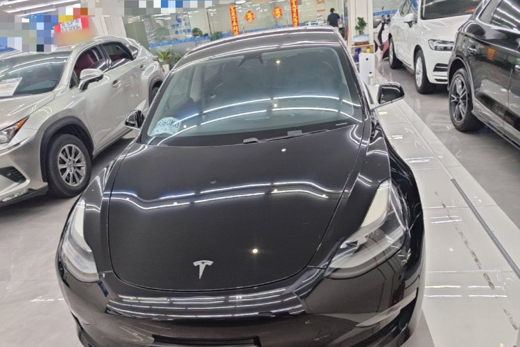 Tesla Model 3 2020 #3 Tesla Model 3 2020 car image #3