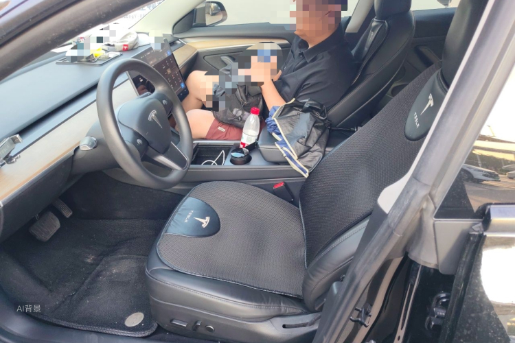 Tesla Model 3 2021 #17 Tesla Model 3 2021 car image #17