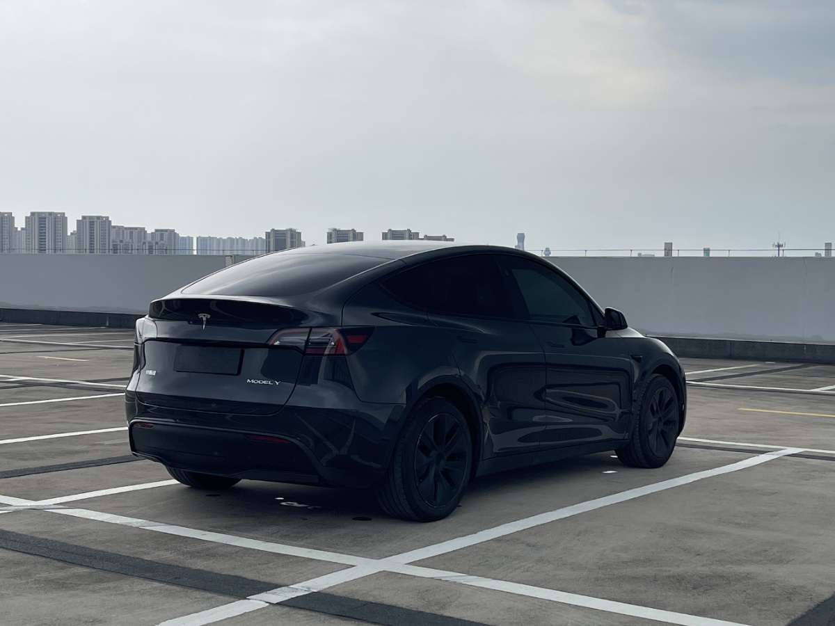 Tesla Model Y 2024 car image #8