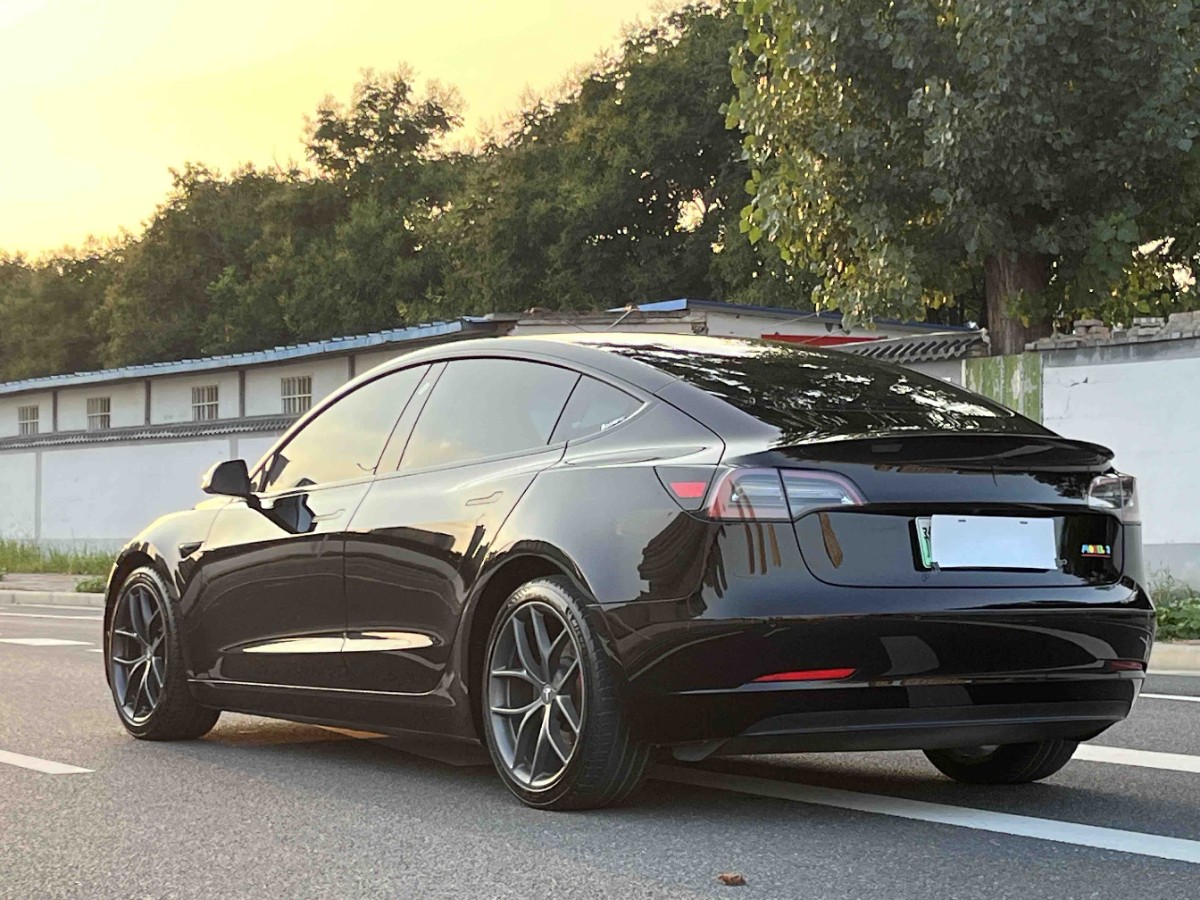 Tesla Model 3 2021 car image #10