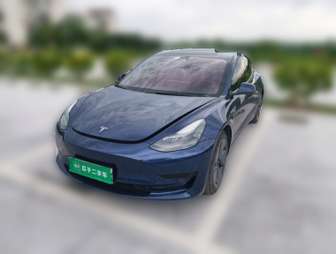 Tesla Model 3 2021 car image 