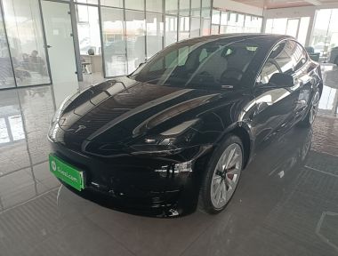 Tesla Model 3 2021 Tesla Model 3 2021 car image