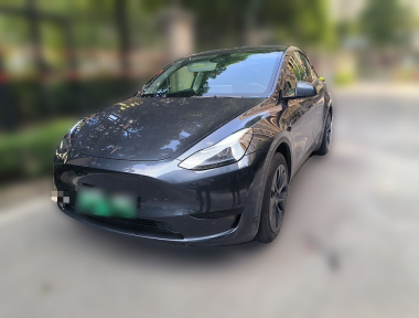 Tesla Model Y 2024 Tesla Model Y 2024 car image