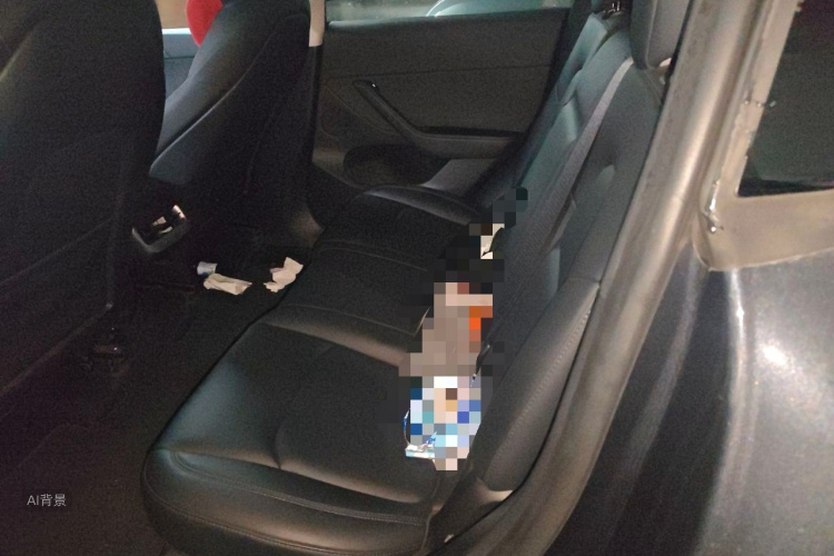 Tesla Model Y 2024 car image #19