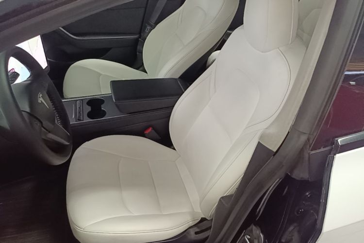 Tesla Model 3 2021 car image #15