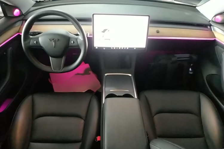 Tesla Model 3 2021 car image #10