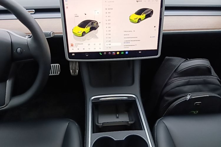 Tesla Model 3 2022 изображение автомобиля #17