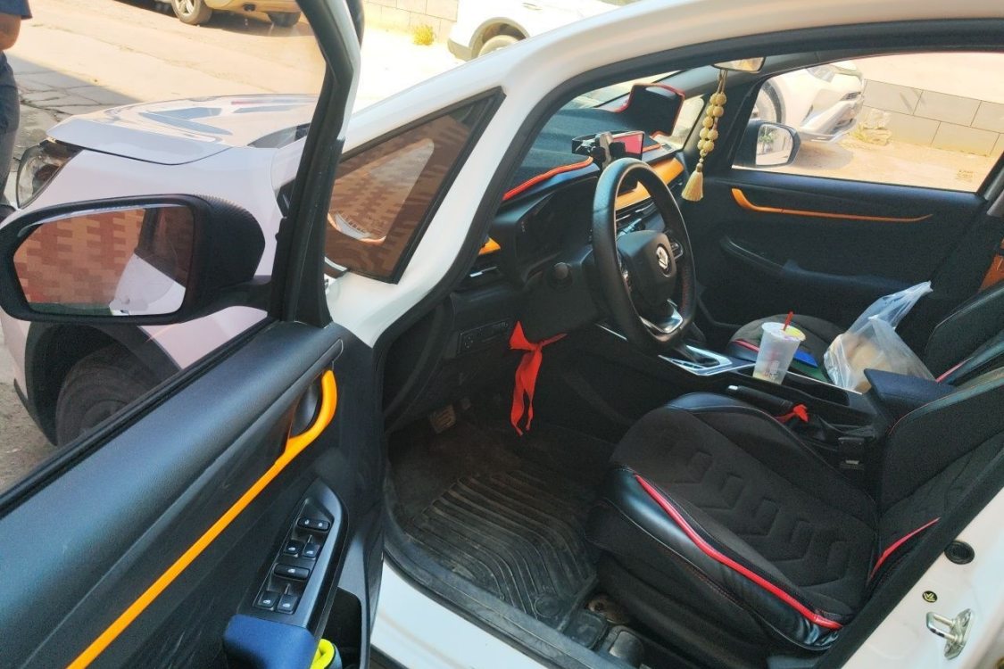 Livan X3 PRO 2023 #23 Livan X3 PRO 2023 car image #23