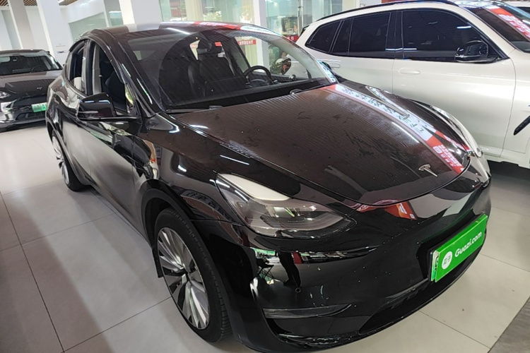 Tesla Model Y 2021 car image #4