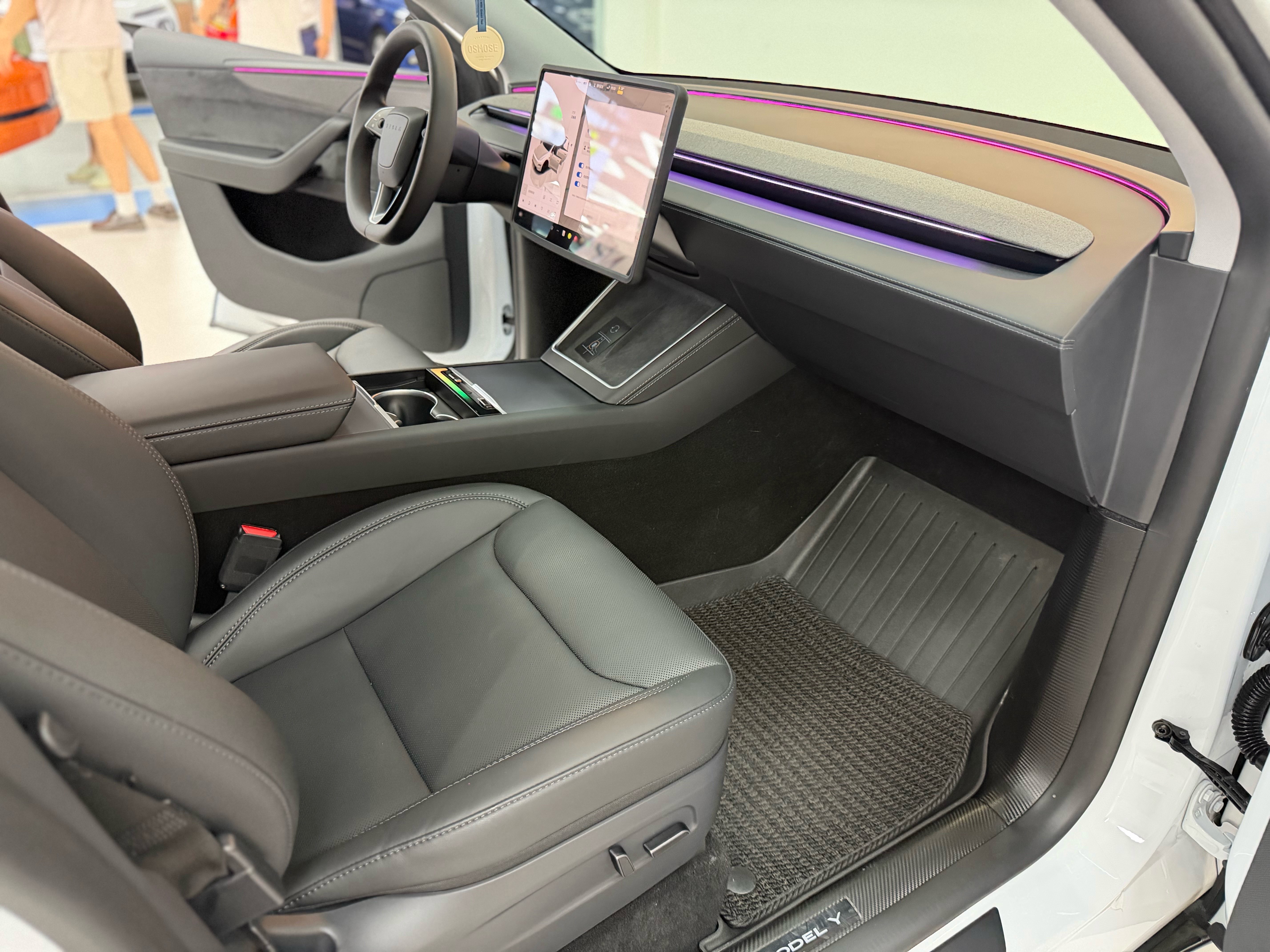 Tesla Model Y 2025 car image #6