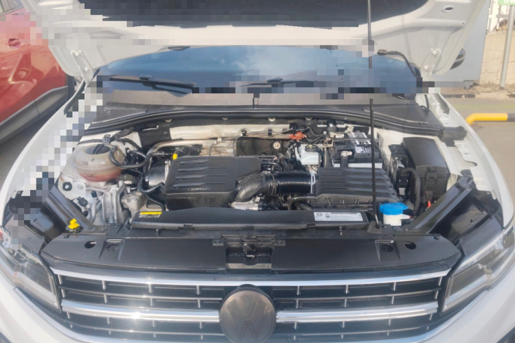 Volkswagen Bora 2019 car image #22