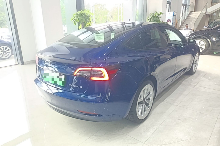 Tesla Model 3 2021 #7 Tesla Model 3 2021 car image #7