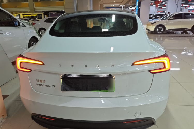 Tesla Model 3 2024 #4 Tesla Model 3 2024 car image #4