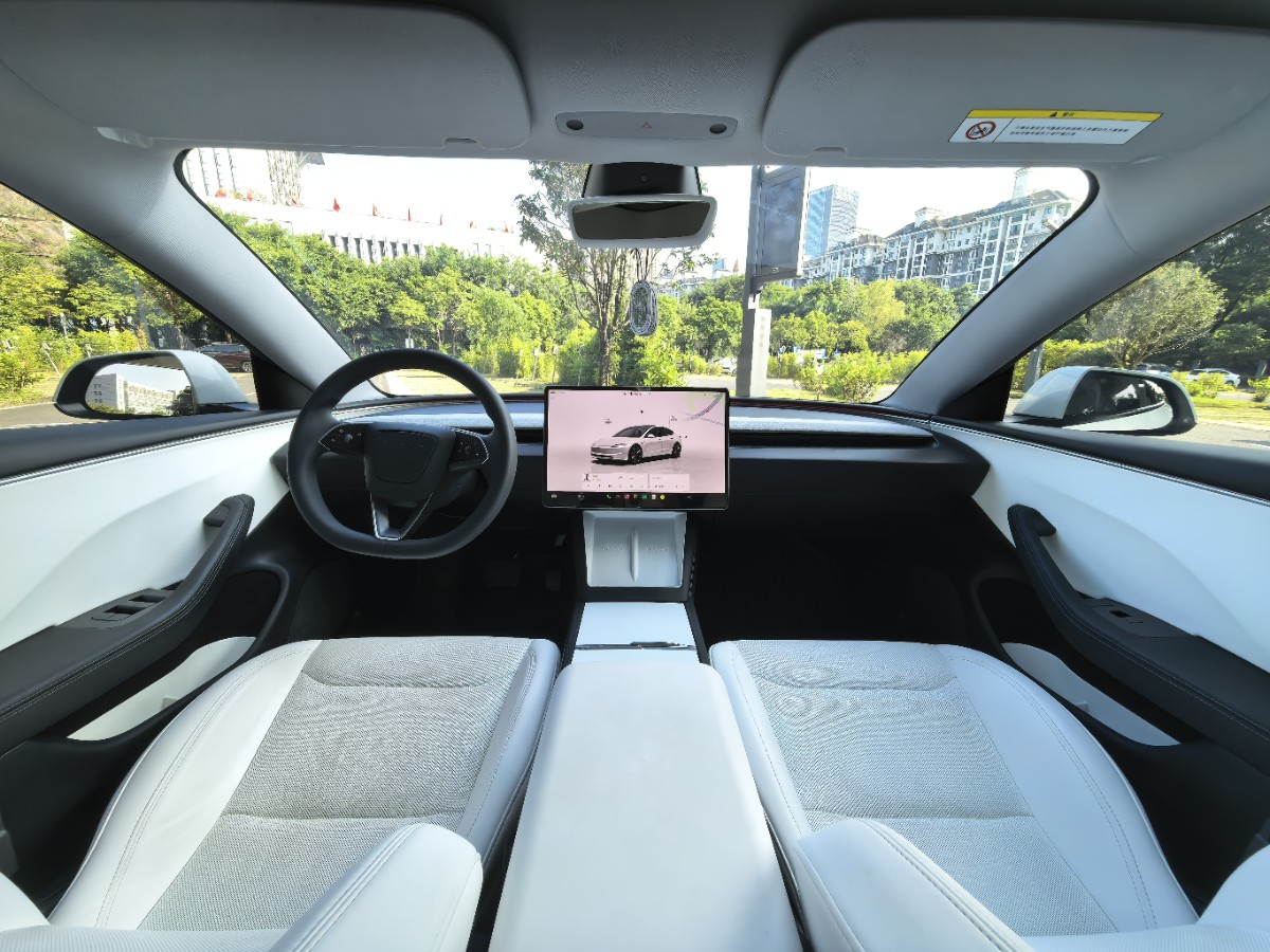 Tesla Model 3 2024 immagine di auto #6