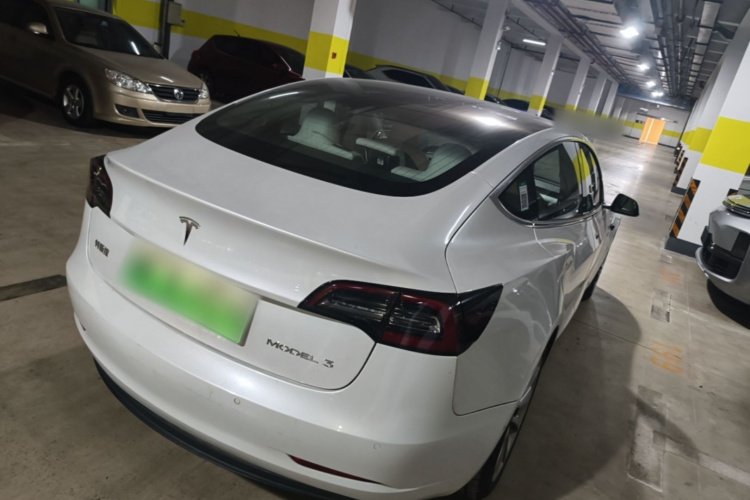 Tesla Model 3 2020 #7 Tesla Model 3 2020 car image #7