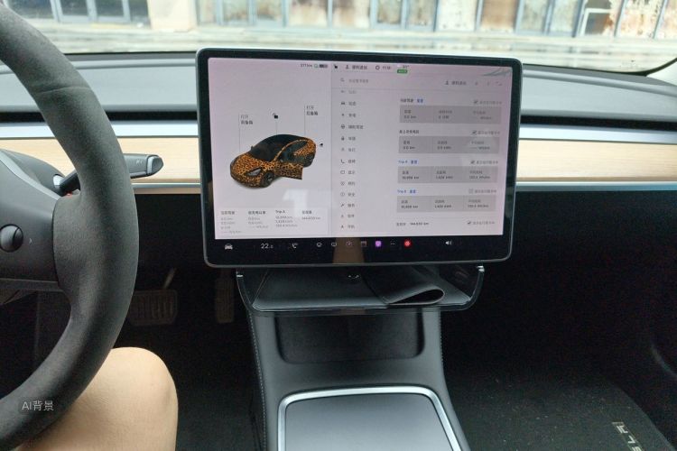 Tesla Model 3 2021 car image #15