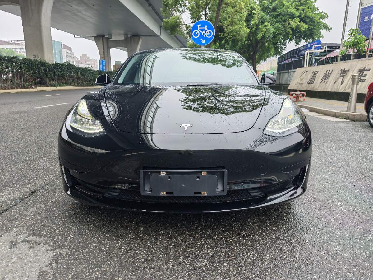 Tesla Model 3 2021 #2 Tesla Model 3 2021 immagine di auto #2