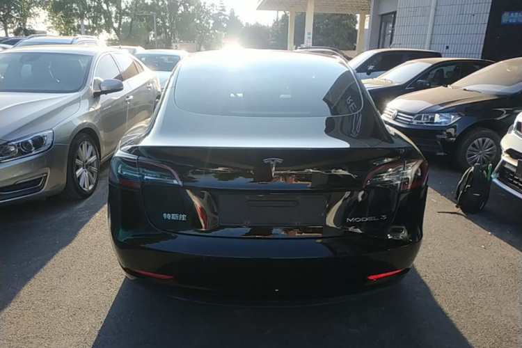 Tesla Model 3 2020 immagine di auto #6