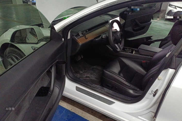 Tesla Model 3 2020 imagem de carro #18