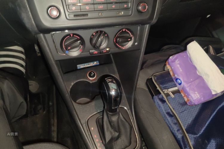 Volkswagen Polo 2015 car image #16