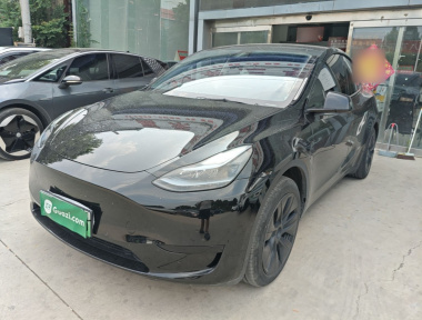 Tesla Model Y 2023 Tesla Model Y 2023 car image