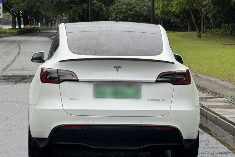 Tesla Model Y 2022 #3 Tesla Model Y 2022 car image #3