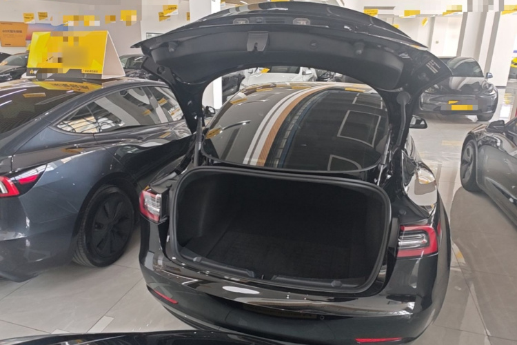 Tesla Model 3 2023 #19 Tesla Model 3 2023 car image #19