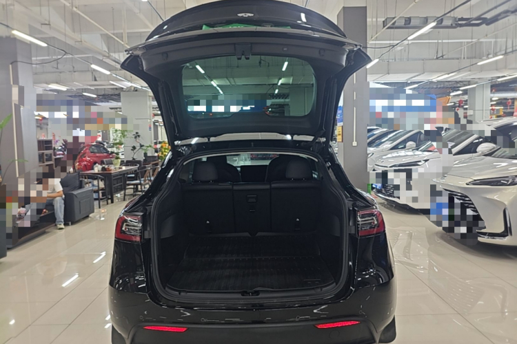 Tesla Model Y 2023 #19 Tesla Model Y 2023 car image #19