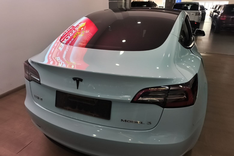 Tesla Model 3 2023 #6 Tesla Model 3 2023 car image #6