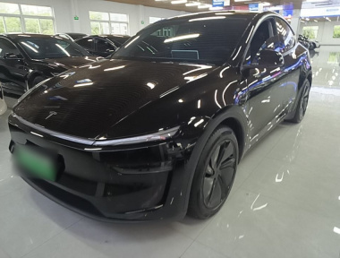 Tesla Model Y 2025 Tesla Model Y 2025 car image