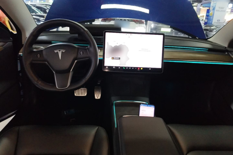 Tesla Model 3 2021 car image #10