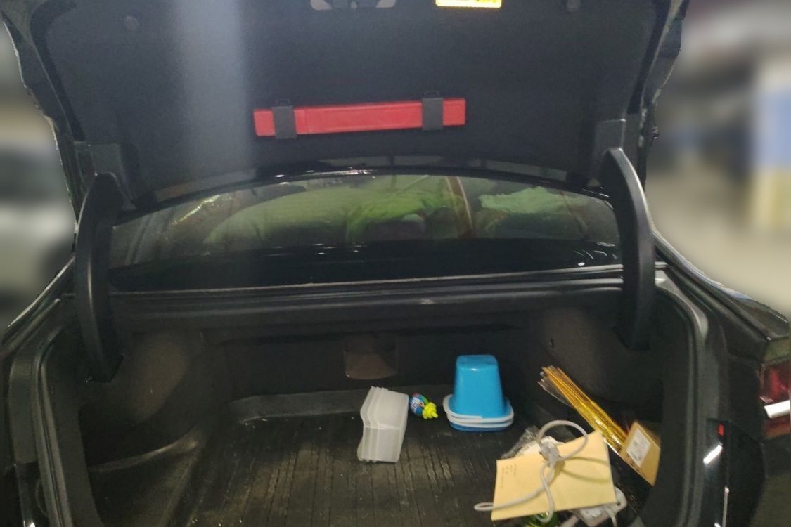 BYD Han 2022 car image #8