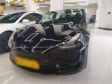 Tesla Model 3 2021 car image 