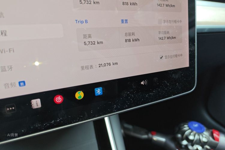 Tesla Model 3 2020 car image #14