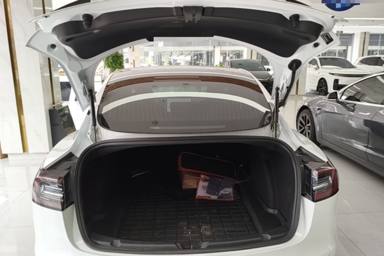 Tesla Model 3 2020 #21 Tesla Model 3 2020 car image #21