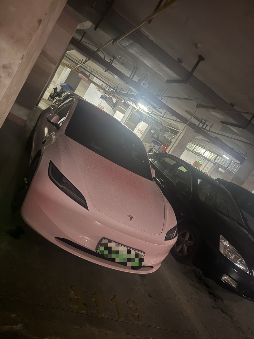 Tesla Model 3 2025 car image #3
