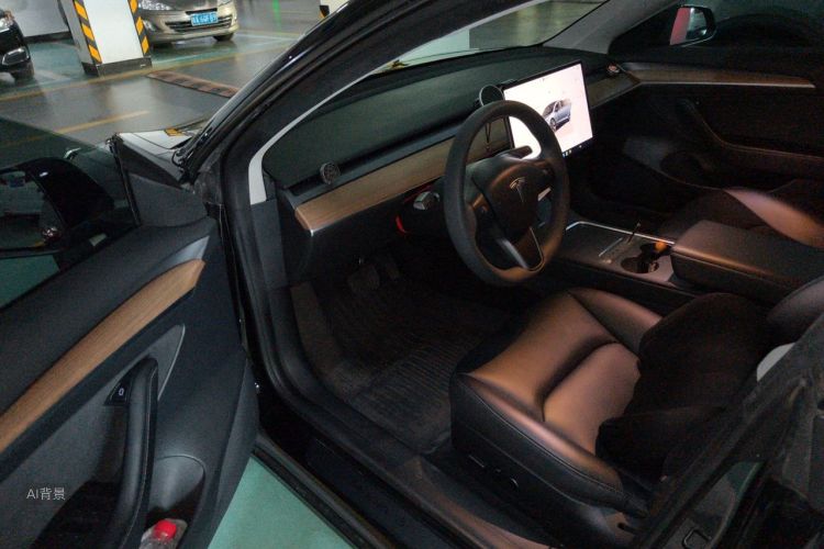 Tesla Model 3 2023 car image #18