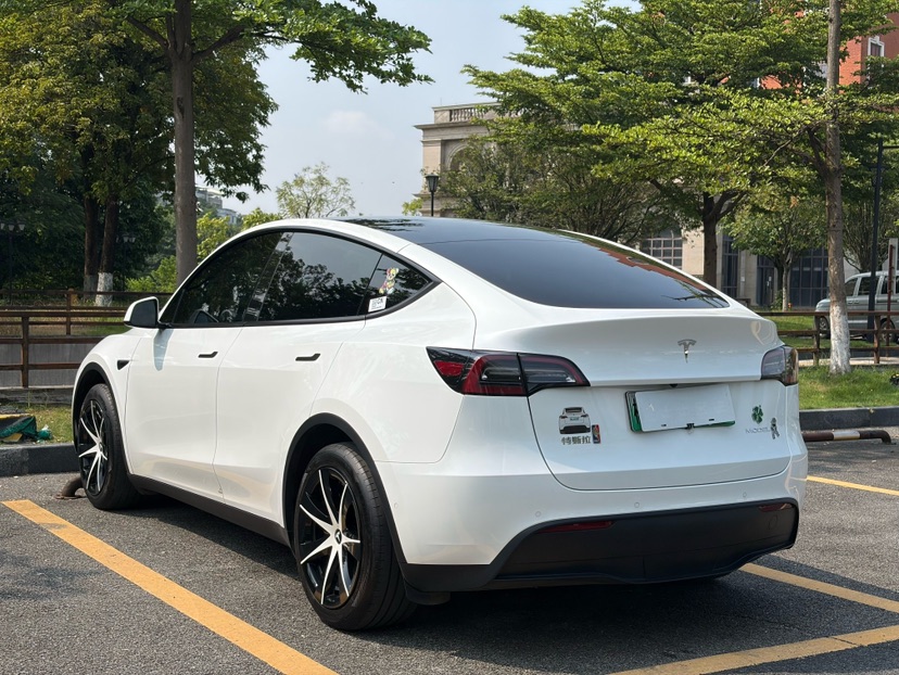 Tesla Model Y 2024 car image #6