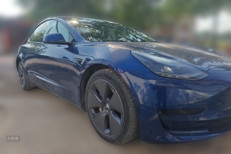 Tesla Model 3 2021 #4 Tesla Model 3 2021 car image #4