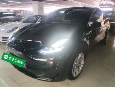 Tesla Model Y 2023 Tesla Model Y 2023 car image