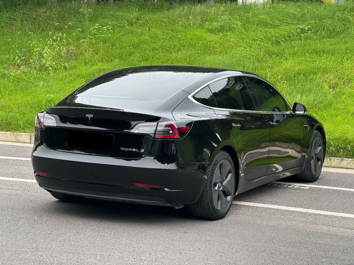 Tesla Model 3 2021 #12 Tesla Model 3 2021 car image #12