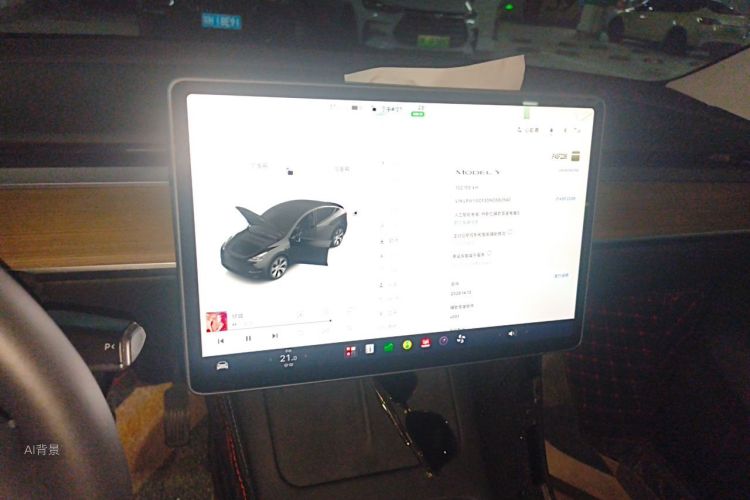 Tesla Model Y 2022 #15 Tesla Model Y 2022 car image #15