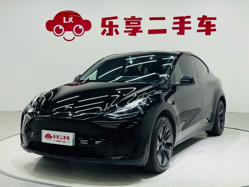 Tesla Model Y 2024 Tesla Model Y 2024 car image