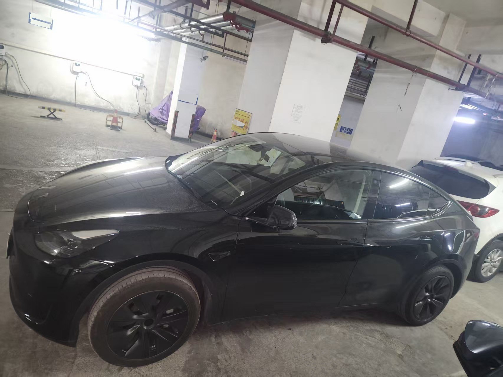 Tesla Model Y 2023 car image #2