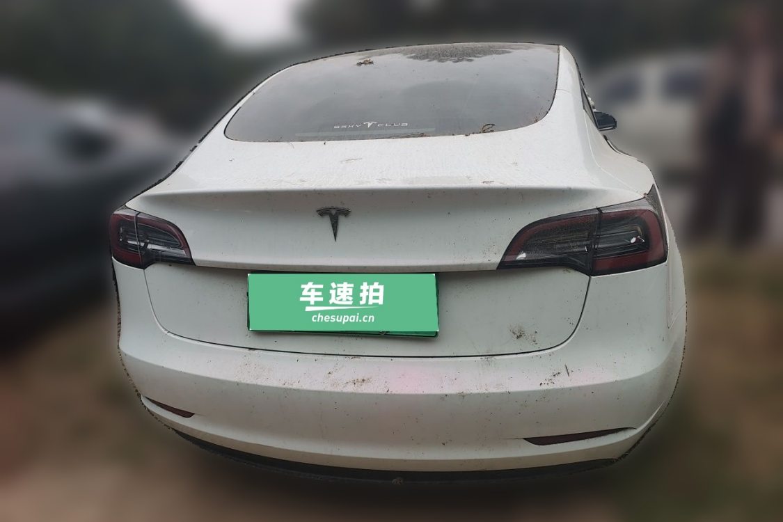 Tesla Model 3 2021 car image #6