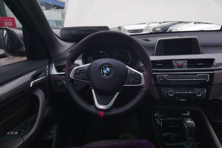 BMW X1 2019 car image #12