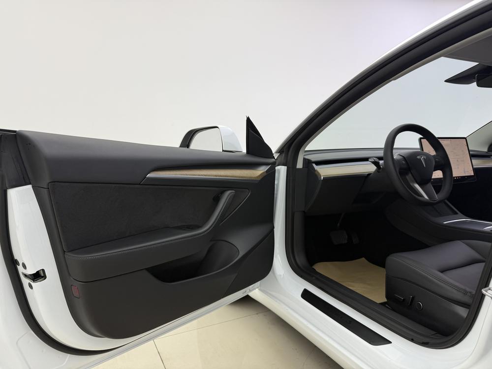 Tesla Model 3 2020 car image #15