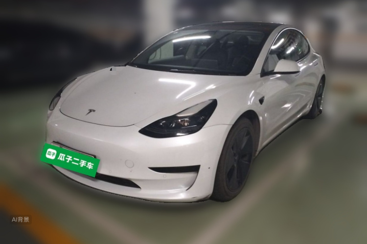 Tesla Model 3 2021 #2 Tesla Model 3 2021 car image #2